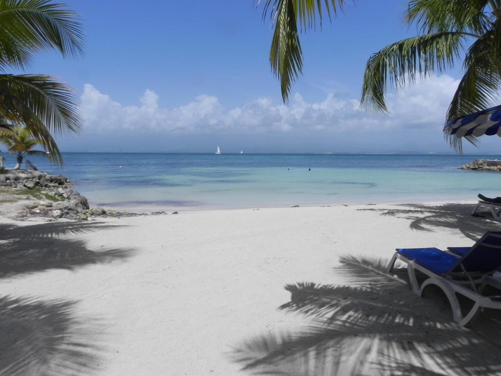 Appartement Bord De Mer Tres Fonctionnel , Sur La Plage & Vue Mer Exceptionnelle Le Gosier  Zimmer foto